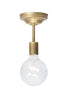 Glass Globe and Brass Ceiling Light